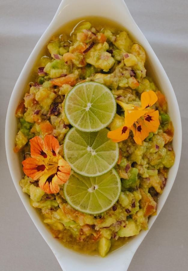 Hotel Vegano Bona Espero Alto Paraíso de Goiás Екстериор снимка